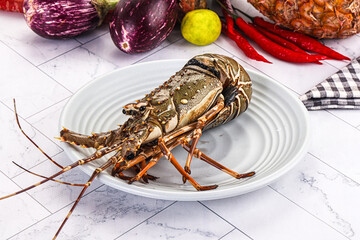 Raw wild fresh spiny lobster
