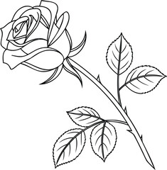 Elegant Rose Outline Pretty Rose Bud Drawing