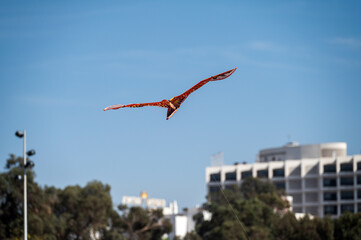 Bird-Shaped Kite Soaring in the Sky
