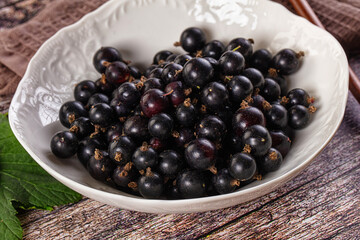 Sweet juicy Black currants berries