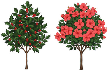 Holly tree with red berries, hibiscus tree illustration, tropical flowering plant vector, botanical artwork, garden design element, seasonal foliage educational drawing © Su Joy Creatives