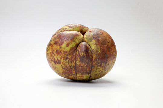 Unique exotic rare Asian green elephant apple chalta ou tenga fruit tangi sour ingredients