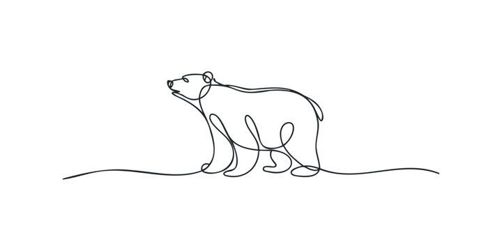 outline polar bear
