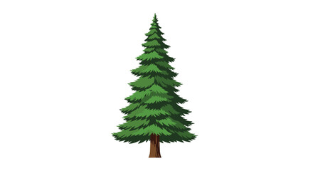 Fototapeta premium A tall green evergreen pine tree, featuring lush branches and a pointed top, stands upright and isolated against a clean white background.