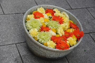 深川の花手水