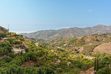 Mediterranean Valley Landscape with Terraced Hills, Olive Groves, and Distant Sea Haze