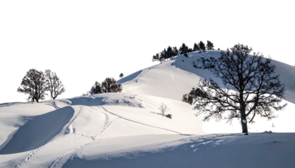 Snow-covered hills with frosted trees in bright, clear sunlight