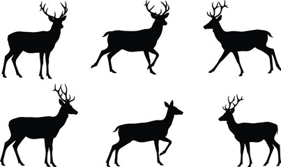 Deer silhouettes collection, wild animal vector, standing and walking deer poses, wildlife illustration, forest animal design, black and white artwork