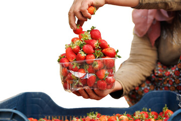 Healthy Eating Concept, Doğal beslenme ve temiz gıda