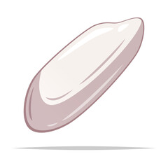 Single rice grain vector isolated illustration
