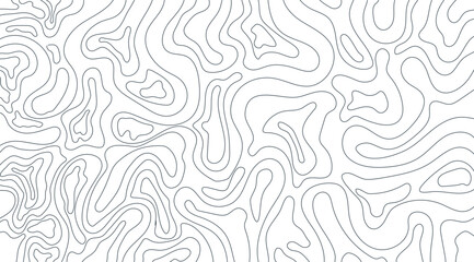 A seamless background features curving gray lines on a crisp white backdrop, forming a pattern reminiscent of topographic maps, ideal for modern abstract designs and textures