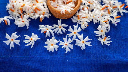 Night Jasmine or Coral Jasmine scientific name Nyctanthes arbor-tristis also known as Parijat or Shiuli lying on a cloth 7