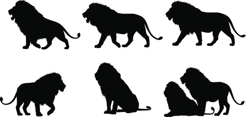 Lion silhouettes in various poses, walking, roaring, sitting — black vector illustrations for wildlife design, logos, and print media.