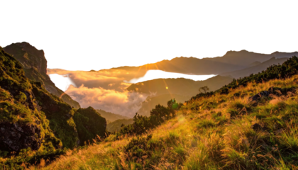 Sunburst lights rolling hills under blacked out sky