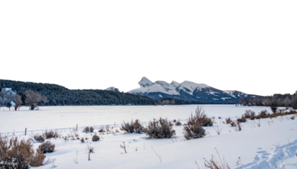 Snowy landscape with mountains and trees on winter day
