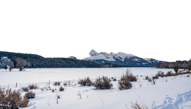 Snowy landscape with mountains and trees on winter day