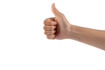 Portrait of hands and fingers in various ways on transparent background