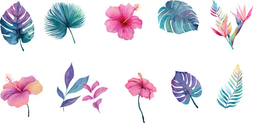 set of colorful flowers