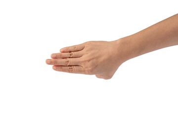 Portrait of hands and fingers in various ways on transparent background