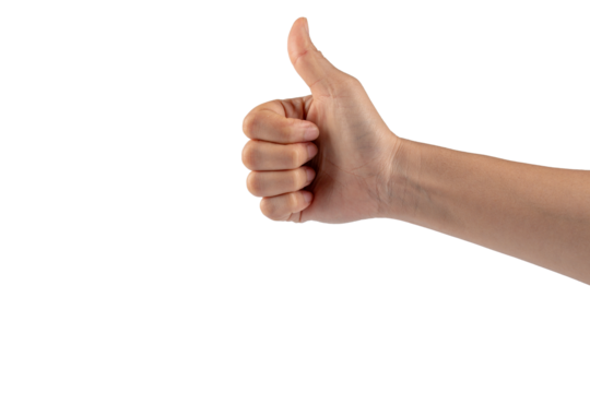 Portrait of hands and fingers in various ways on transparent background