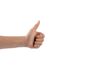 Portrait of hands and fingers in various ways on transparent background