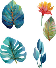 collection of watercolor flowers