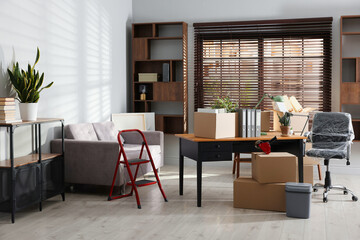 Many moving boxes, houseplants, ladder and furniture in new office