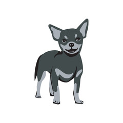 Chihuahua Dog Cartoon Vector – Friendly Puppy Graphic for Pet and Animal Lovers