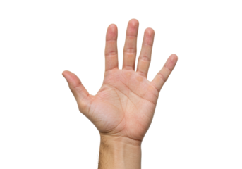 Isolated human hand raised to show five fingers, palm up demonstrating stopping and waving