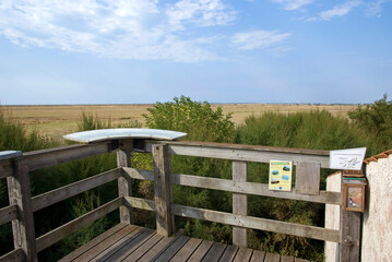 Fototapeta premium réserve naturelle des marais de Moëze, 17, Charente Maritime, France