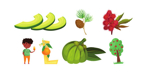 Vibrant Avocado, Pinecone, Red Berries, Orange, and Green Fruit with a child enjoying a popsicle, perfect for health and wellness content