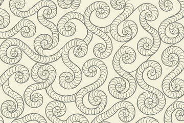 Decorative motifs spiral loops pattern patterns shell composed vector elegant illustration surface
