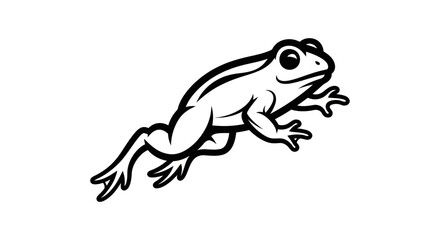 Detailed Black and White Illustration of a Leaping Frog.