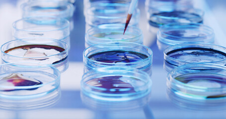Petri dish, colorful samples and science with medical research, biology and virus with chemistry. Empty, investigation or test for bacteria cells in lab, cure and experiment with results or vaccine