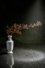 Still life with a white vase and a dry branch of grapes