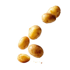 Group of small potatoes falling, one cut in half. Dark background