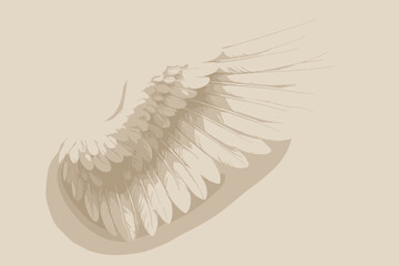Simple against textures delicate featherwing serenity illustration wing soft background detail vector