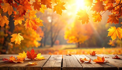 Autumn leaves on wooden table. Sunlight through fall foliage