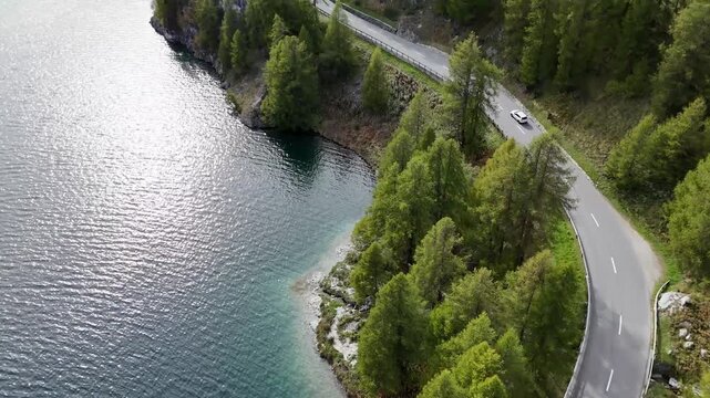 Aerial view of a winding road beside a lake, the road is lined with trees and a car is visible on the road, Sils im Engadin Segl, Grisons, Switzerland.