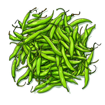 fresh green beans