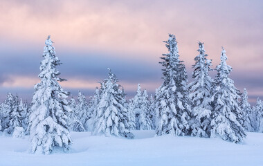 Fototapeta premium sunset in the mountains