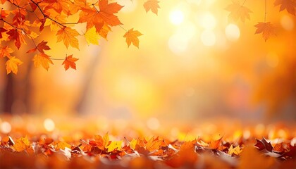Autumnal forest scene with fallen leaves. Warm sunlight filters through trees