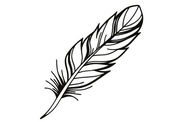 Obraz premium Feather Line Art Illustration Vector