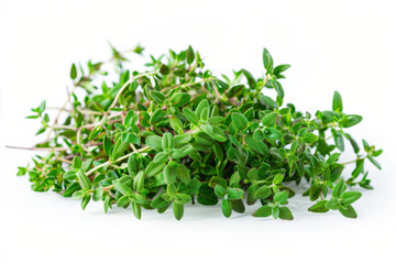 Obraz premium Thyme Herb Bunch Fresh Garden Culinary Spice Kitchen Ingredient Cooking Flavor Aroma Food