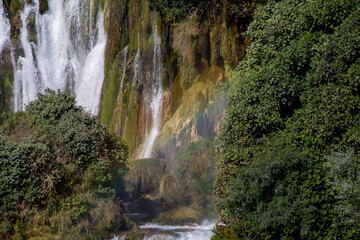 Cascading waterfall whispers mossy secrets, evoking Earth Day's lush embrace and the mystical allure of World Waterfall Day