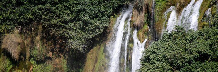 Lush jungle waterfall whispers secrets of Earth's vitality, perfect ambiance for Global Wellness Day and Rainforest Restoration Week