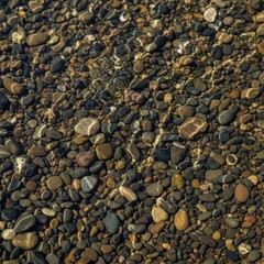 A close up of pebbles on the ground of a beach