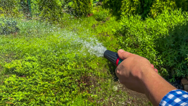 A hand waters lush garden, vibrant verdant explosion, Asian male nurturing growth for Earth Day and Arbor Day celebrations