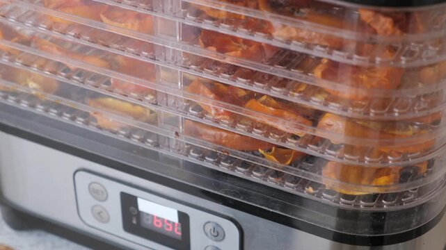 Slices of ripe persimmon dehydrating in multi-layer food dehydrator, natural food preservation method. Healthy eating, food processing, drying fruits and zero waste.