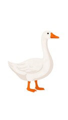 Obraz premium Digitally rendered illustration of a white goose, side profile, on a white background